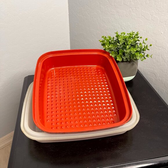 *SOLD* Vintage Tupperware Paprika Marinade Container with Lid 10.5 x 12.5 x 2.5 - Picture 1 of 5